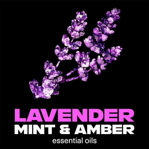 Lynx Fine Fragrance Collection Blue Lavender Premium Deodorant Bodyspray 150 ml - Image 4